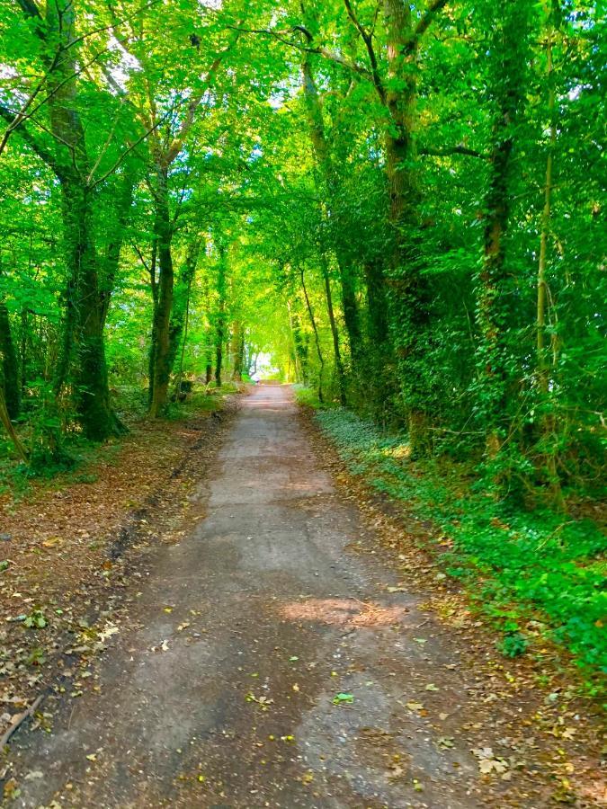 Forest Lodge Sway المظهر الخارجي الصورة